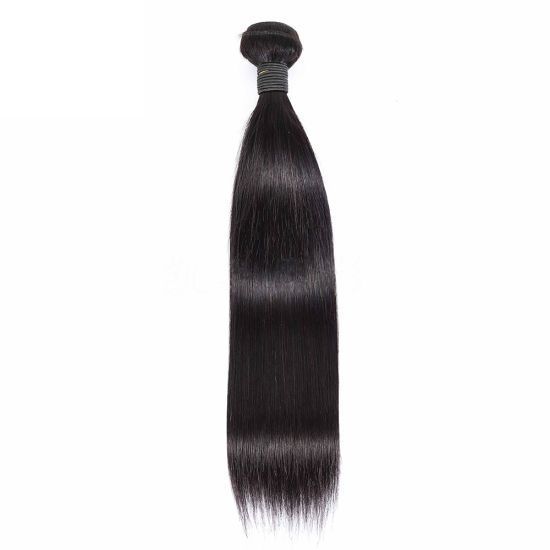 Raw Vietnamese Bundle